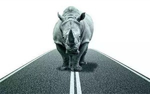 臣通觀點(diǎn)丨小心，中國(guó)產(chǎn)業(yè)園區(qū)的“灰犀?！庇謥?lái)了！