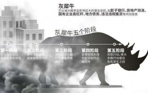 小心，中國產(chǎn)業(yè)園區(qū)的“灰犀牛”又來了！